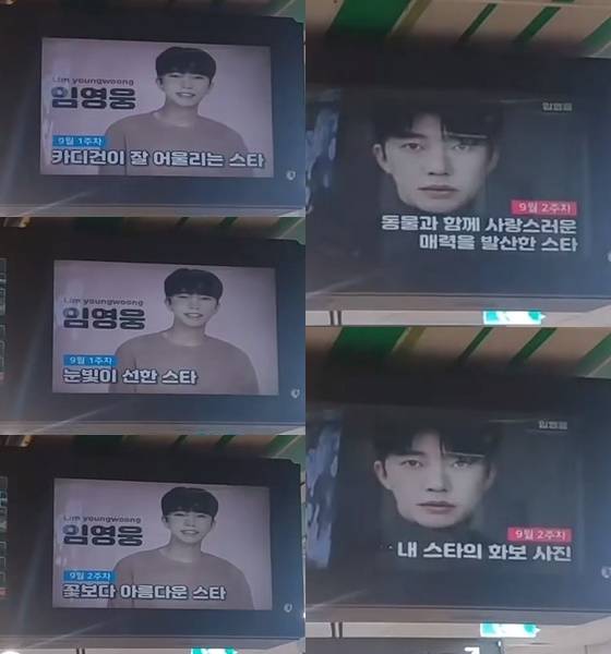 임영웅, 팬앤스타 9월 포토톡 최다 1위..빛나는 14관왕