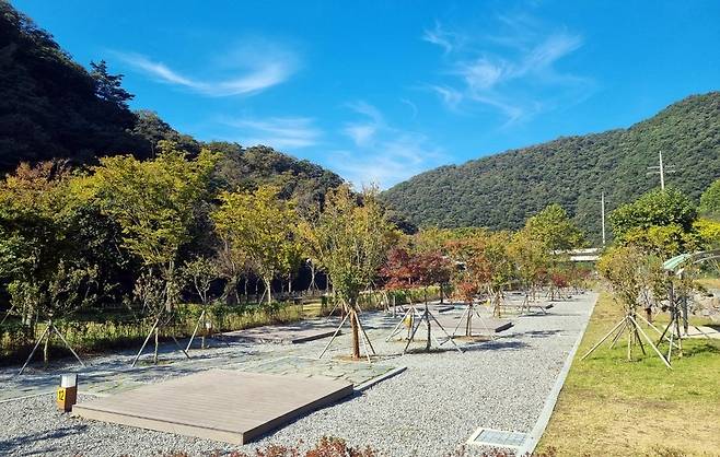 부여 외산 수리바위 캠핑정원 [부여군 제공. 재판매 및 DB 금지]