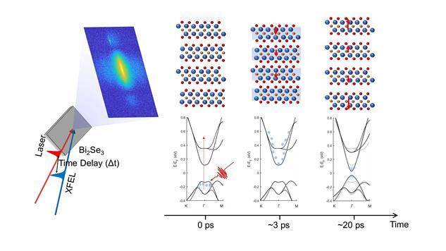 서강대 제공. © 뉴스1