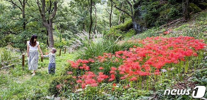 구미시 산림휴양시설/© 뉴스1