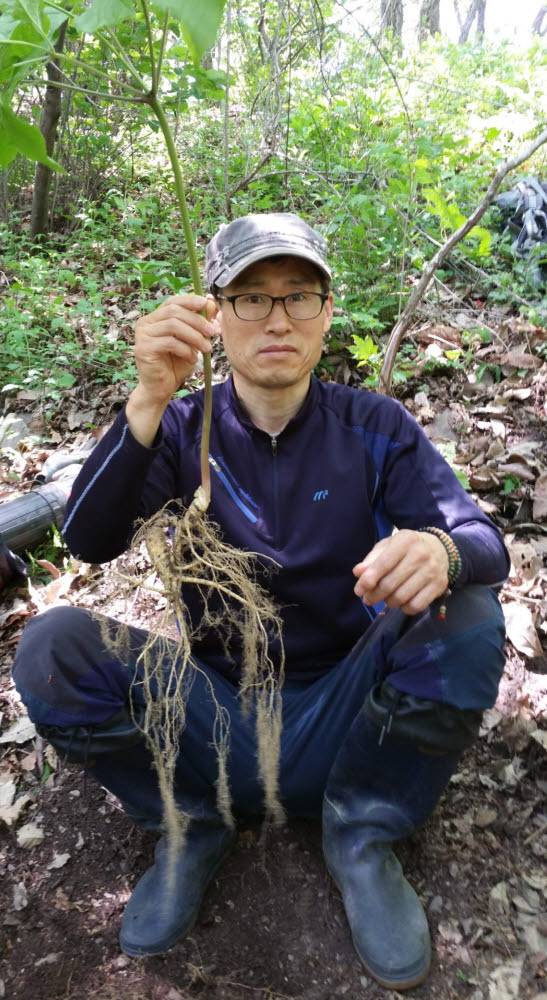 신형일 평창자연약초건강원 대표