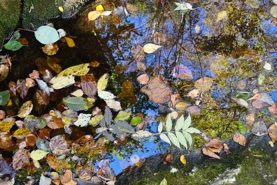 방태산 남쪽자락, 개인약수 오르는 길도 내내 계곡 물소리 들으며 걷는 길이다.
