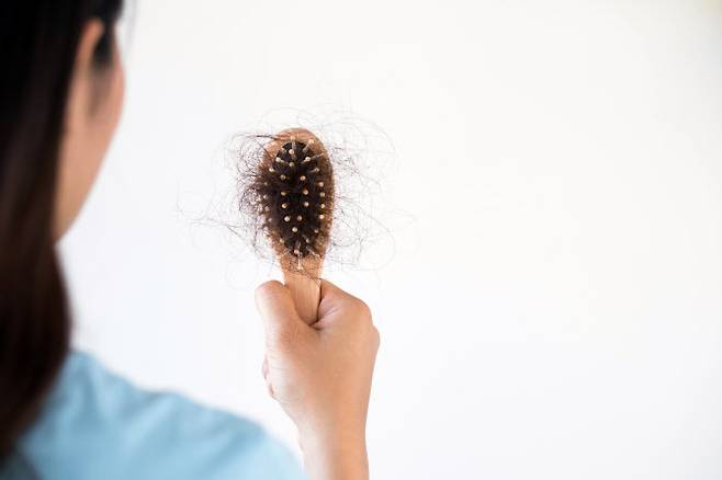 (사진=이미지투데이)