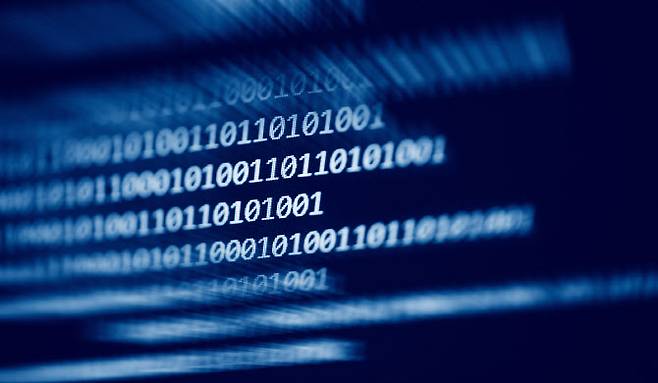 (사진=이미지투데이)