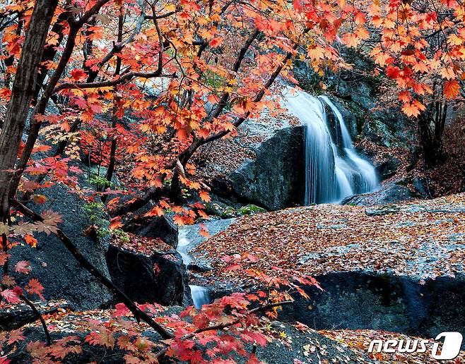 광양 백운산 © 뉴스1