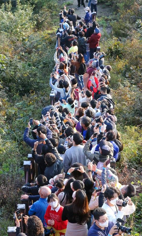 지난 21일 전남 고흥우주발사전망대에서 한국형발사체 '누리호'의 발사를 지켜보려는 관람객들이 운집해 있다. 프리랜서 장정필