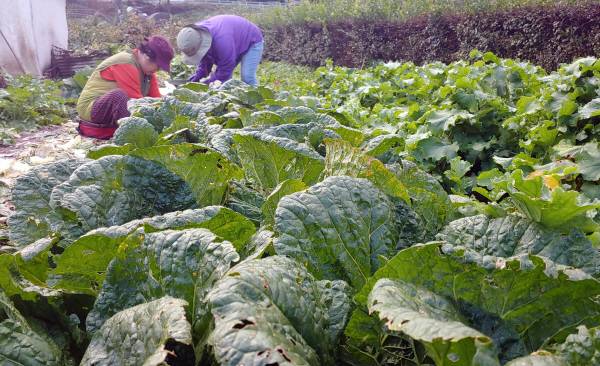 [사진 출처 = 연합뉴스]