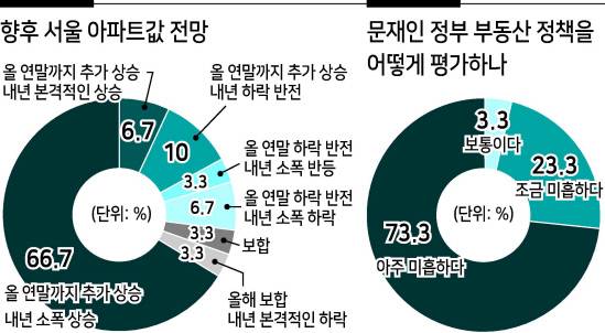그래픽디자인:김진아CP