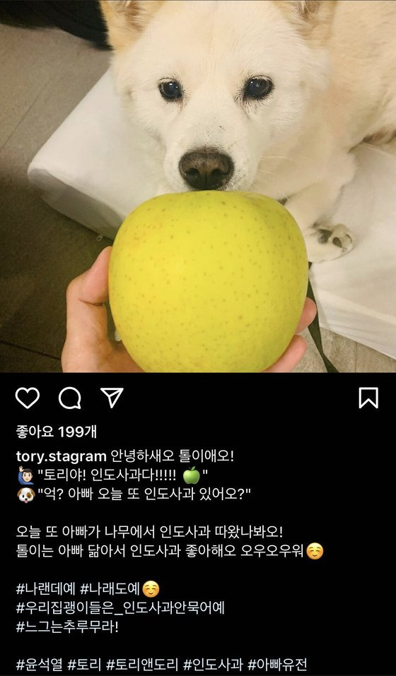 [윤석열 전 검찰총장의 반려견 '토리'의 인스타그램 계정 캡쳐]