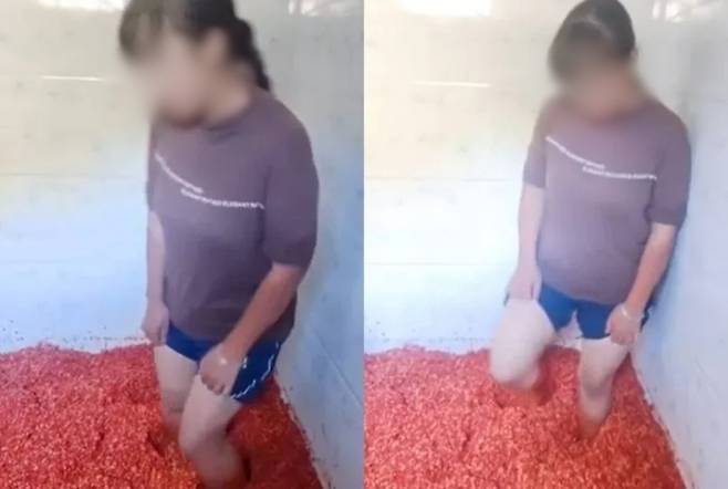 식약처, ‘맨발 양념’ 中영상에 “국내 수입 안돼…식품도 아니다” - 중국에서 붉은색 양념으로 추정되는 물질을 맨발로 밟는 장면이 담긴 영상이 논란이 된 것과 관련해 식품의약품안전처가 해당 물질이 ‘파리스 폴리필라’의 열매로 추정된다며 이 물질은 국내에선 식품으로 수입되지 않는다고 설명했다. 트위터 캡처