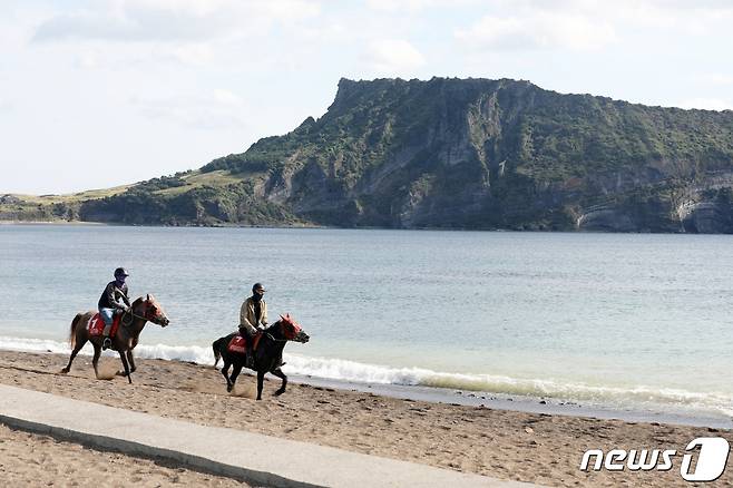 21일 오전 제주 서귀포시 성산읍 성산일출봉 인근 광치기 해변에서 경주마들이 훈련하고 있다. 2021.10.21/뉴스1 © News1 고동명 기자