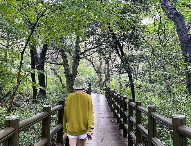 비가 보슬보슬 내린 날 걷기 좋은 비자림© 뉴스1 윤슬빈 기자