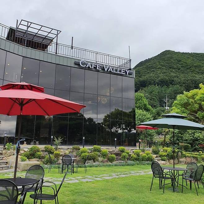 카페벨리 인스타그램