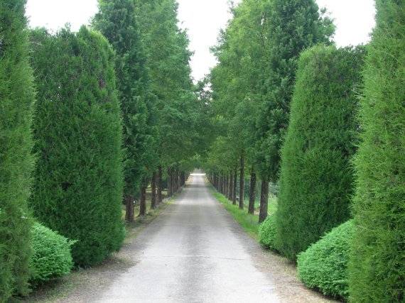 전남산림자원연구소 전경