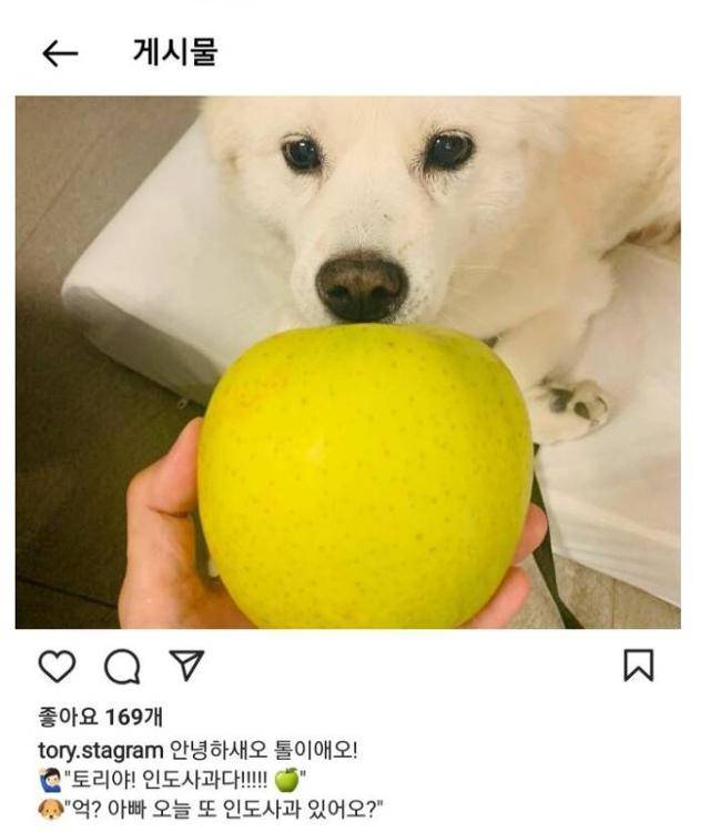 윤석열 국민의힘 대선 경선 후보 측 인스타그램 계정에 반려견 '토리'에게 사과를 주는 사진이 올라와 논란이 일고 있다. 이 사진은 현재 삭제된 상태다. 인스타그램 캡처