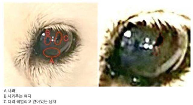 온라인 커뮤니티 캡처