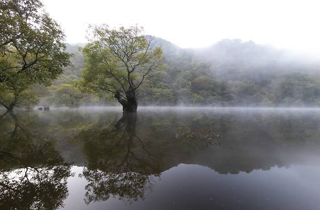 핸드폰사진관/ 주산지
