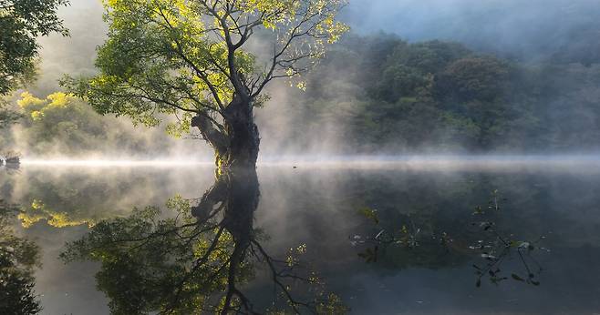 핸드폰사진관/ 주산지