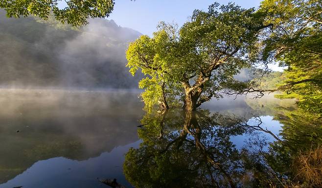 핸드폰사진관/ 주산지