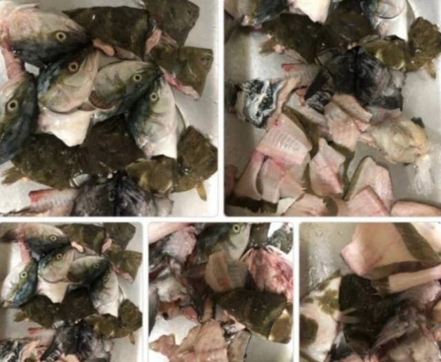 /사진=온라인 커뮤니티 캡처