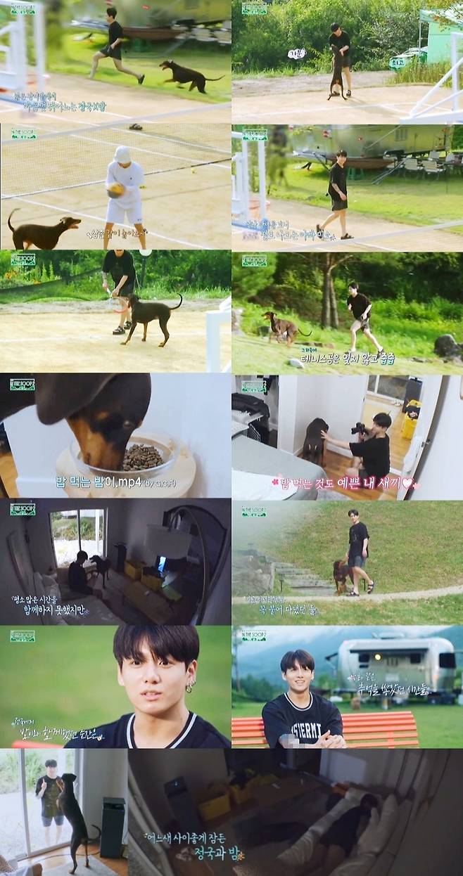 아빠 정국이와 아기 밤이..방탄소년단 정국, 밤이와 '힐링 인더숲'