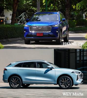 A Prize-Winning Model of GWM in 2021 CACSI Assessment (PRNewsfoto/GWM)