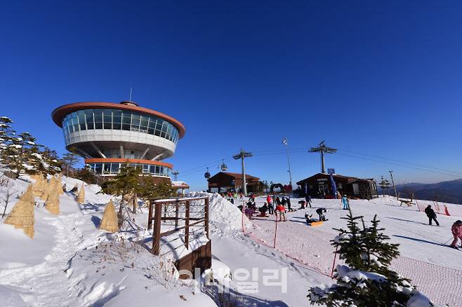 하이원리조트 스키장 마운틴탑 전경