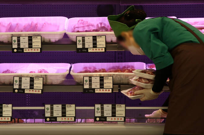소고기, 돼지고기, 수산물, 과일 등 수입산 신선식품 가격이 일제히 오르고 있다. 한 마트 신선육 매대에서 직원이 정육 상품을 정리하는 모습. <연합뉴스>
