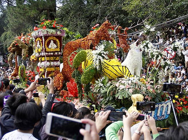 봄이 피어나는 파낙벵가 페스티벌