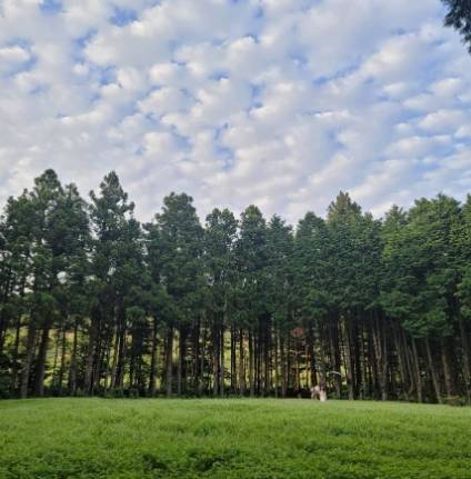 제주 안돌오름. / 출처 = @secretforest75