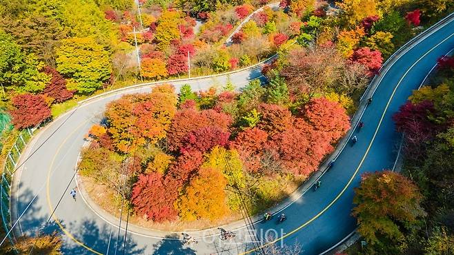 단풍으로 물든 단양 가곡 보발재 / 사진-단양군