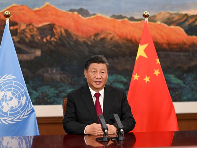 시진핑 중국 국가주석이 12일 중국 남서부 윈난성 쿤밍에서 열린 제15차 유엔 생물다양성협약(UNCBD) 당사국 총회에 참석해 화상 연설을 하고 있다. 쿤밍= 신화 뉴시스