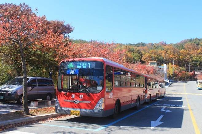 대구시는 본격적인 단풍철이 시작됨에 따라 동화사 방면 주요노선인 급행버스 1번을 증회 운행한다. (대구시 제공) 2021.10.27