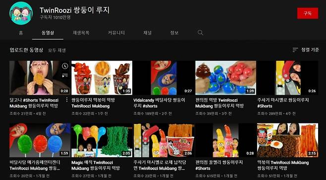 26일 오후 '쌍둥이 루지' 채널에 올라와 있는 콘텐츠 목록 /사진=화면 캡처
