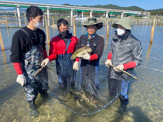 민물고기연구센터가 울진 왕피천에서 올해 처음으로 연어 8마리를 포획했다. 경북도 제공