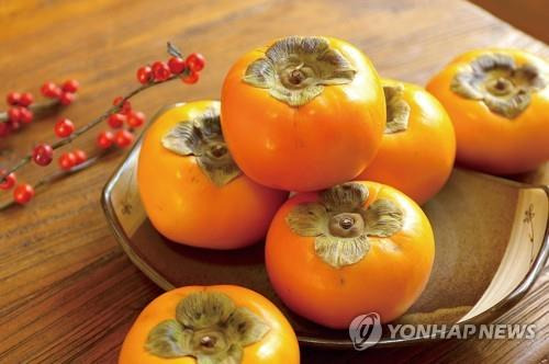 잘 익은 진영 단감 [연합뉴스 자료사진]