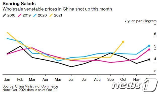 중국 내 채속 도매가격 변화 추이.(중국 상무부 자료)© 뉴스1