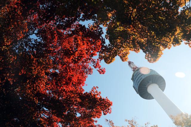 완연한 가을날씨를 보인 27일 오후 서울남산타워 인근 단풍나무가 붉게 물들어 있다. 뉴스1