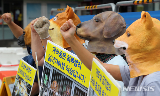 [서울=뉴시스] 배훈식 기자 = 한국동물보호연합과 한국채식연합 회원들이 11일 오후 서울 종로구 세종대로사거리에서 초복 맞이 기자회견을 열고 개도살 중단과 건강 채식을 촉구하고 있다.(위 사진은 해당 기사내용과 관련없음.)  2021.07.11. dahora83@newsis.com