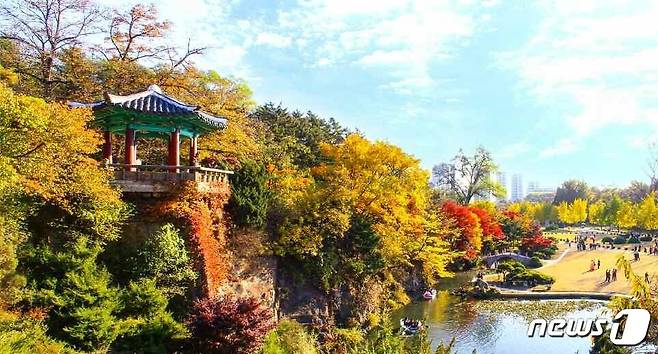 (평양 노동신문=뉴스1) = 북한 조선노동당 기관지 노동신문은 31일 '수도 평양의 이채로운 가을풍경'이란 제목으로 관련 사진 여러 장을 실었다. [국내에서만 사용가능. 재배포 금지. DB 금지. For Use Only in the Republic of Korea. Redistribution Prohibited] rodongphoto@news1.kr