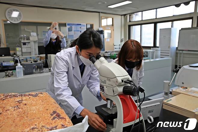 지난 22일 오전 부산세관 직원들이 고춧가루 원산지와 냉동홍고추가 섞여있는지 확인하기 위해 1차로 현미경 관찰을 하고있다.(부산본부세관 제공)© 뉴스1