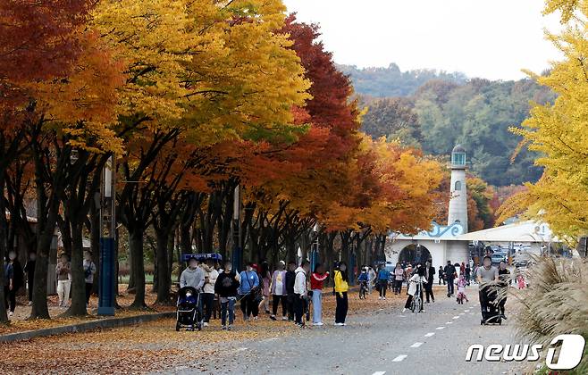 가을이 깊어가는 31일 인천 남동구 인천대공원에 단풍이 곱게 물들어 있다. 2021.10.31/뉴스1 © News1 정진욱 기자