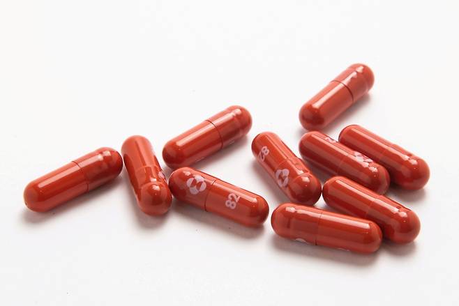 An experimental COVID-19 treatment pill, called molnupiravir, developed by Merck & Co (Reuters-Yonhap)