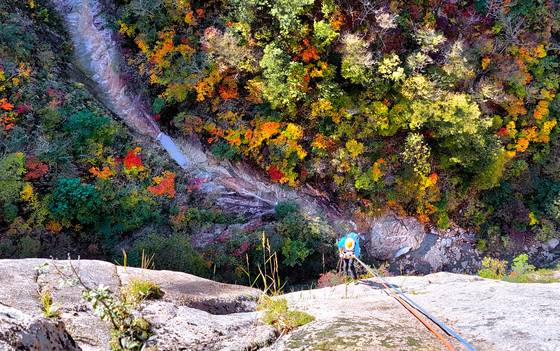 A rock climber on Mount Seorak descends toward so trees that are in the process of changing colors. [KIM SANG-SEON]