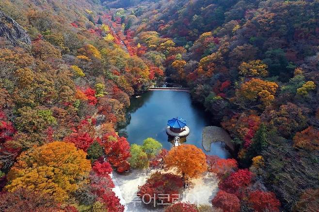 단풍 절정 맞은 정읍 내장산