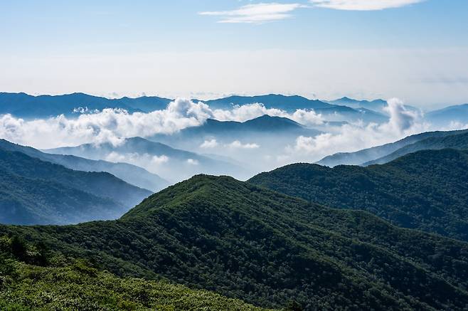 전남 구례군이 9년 전 환경부 반대로 무산된 지리산 케이블카 사업을 단독으로 재추진하고 나서 성사 여부에 관심이 쏠린다. 지난 2012년 지리산권 4개 지자체가 신청했다가 무산됐던 지리산 케이블카 설치는 부결 후 지리산 주변 4개 시군 중 일부가 독자 추진을 시도했지만, 번번이 무산됐다. 이번에도 환경부가 신청을 반려하면서 내걸었던 '지리산 인접 4개 시·군 합의 노선 도출'이라는 조건을 충족하지 못하고 단독 신청을 되풀이 한데다 환경단체가 여전히 반대하고 있어 성사 여부는 불투명하다. 지리산 노고단 일대 전경 ⓒ구례군