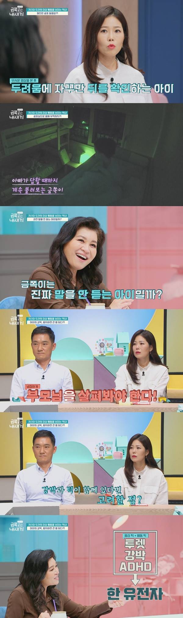 금쪽같은 내새끼 / 사진=금쪽같은 내새끼