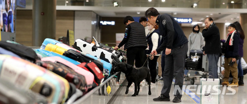 [인천공항=뉴시스]홍찬선 기자 = 사진은 인천공항 입국장에서 인천본부세관 소속 마약탐지견이 입국자들의 수하물들을 수색하는 모습. 2021.11.05.photo@newsis.com