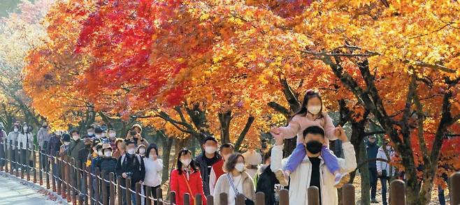 위드 코로나 첫 주말, 내장산에 4만명 몰렸다 - 7일 전북 정읍시 내장산에서 관광객들이 길게 줄지어 산책로를 거닐며 붉게 물든 단풍과 포근한 날씨를 즐기고 있다. 주말 이틀간 이곳에는 4만명 이상의 관광객이 몰렸다. 지난 1일 단계적 일상 회복, 이른바 '위드 코로나'로 방역 정책이 전환된 후 맞이한 첫 주말인 6~7일, 전국 주요 관광지는 깊어진 가을을 즐기려는 사람들로 온통 북적였다. /김영근 기자