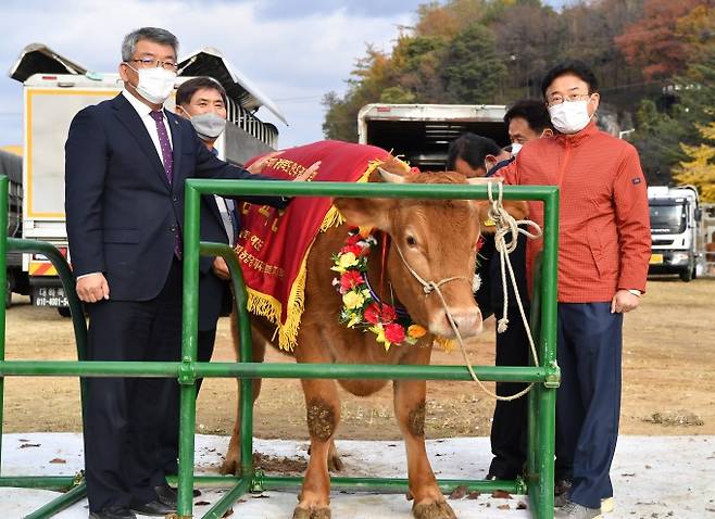 경북 챔피언 한우(사진=경북도 제공) 2021.11.10.